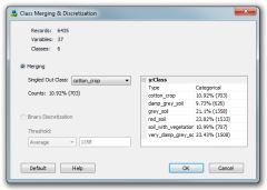 Class merging and discretization.